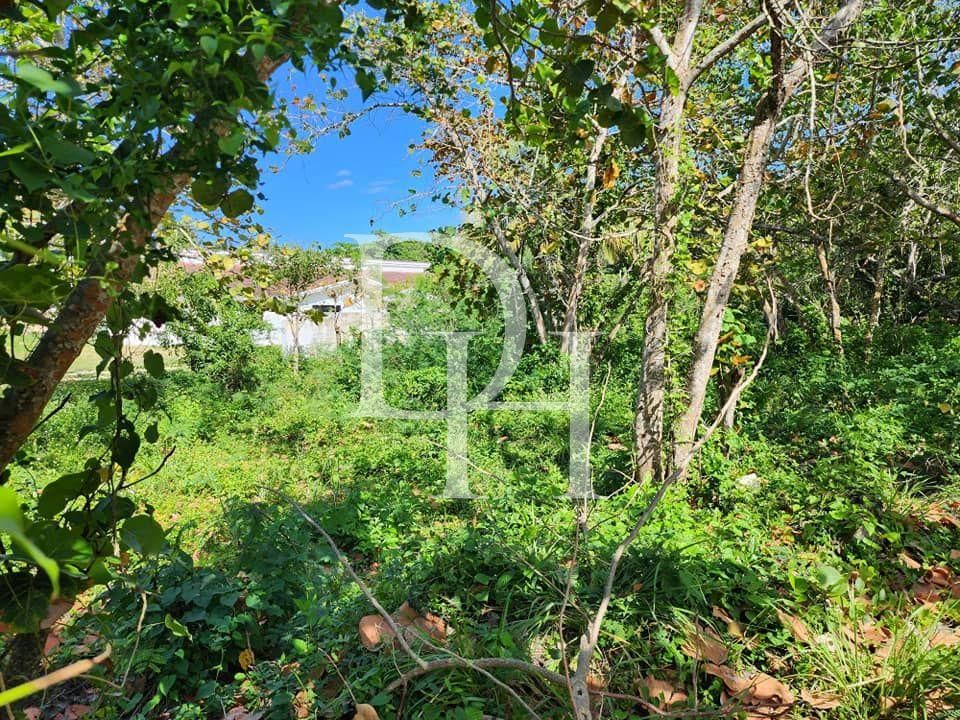 Участок в Кабарете, Доминиканская республика, 228м2 - стоимость 40&nbsp;000$ - Ref: 79785 фото 2