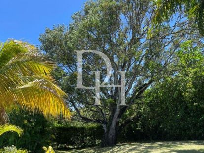 Вилла в Сосуа, Доминиканская республика, 180м2 - стоимость 320&nbsp;000$ - Ref: 79794 фото 4