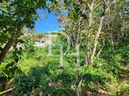 Участок в Кабарете, Доминиканская республика, 228м2 - стоимость 40&nbsp;000$ - Ref: 79785 фото 2