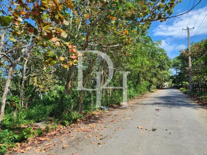 Участок в Кабарете, Доминиканская республика, 228м2 - стоимость 40&nbsp;000$ - Ref: 79785 фото 3