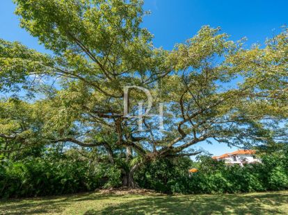 Участок в Сосуа, Доминиканская республика, 1 000м2 - стоимость 65&nbsp;000$ - Ref: 79811 фото 1