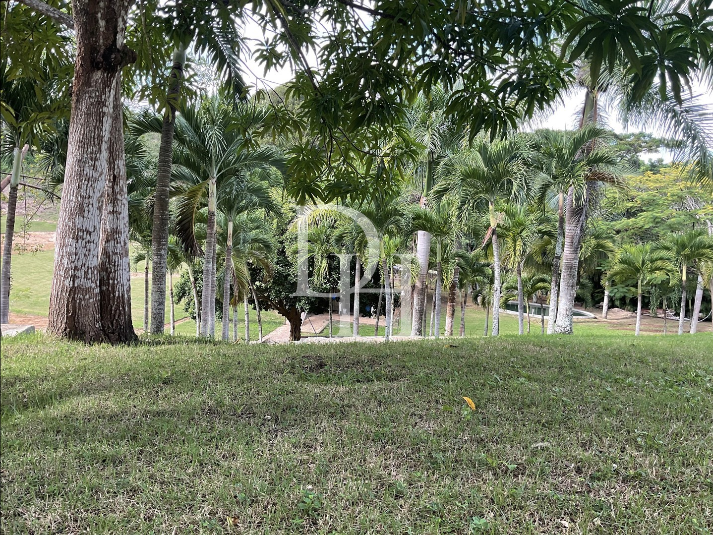 Вилла в Сосуа, Доминиканская республика, 490м2 - стоимость 890&nbsp;000$ - Ref: 79834 фото 15