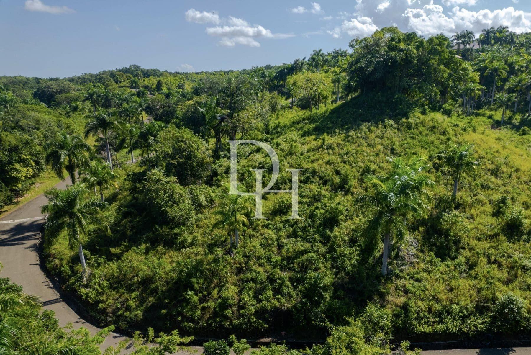 Участок в Сосуа, Доминиканская республика, 5 500м2 - стоимость 200&nbsp;000$ - Ref: 79828 фото 14