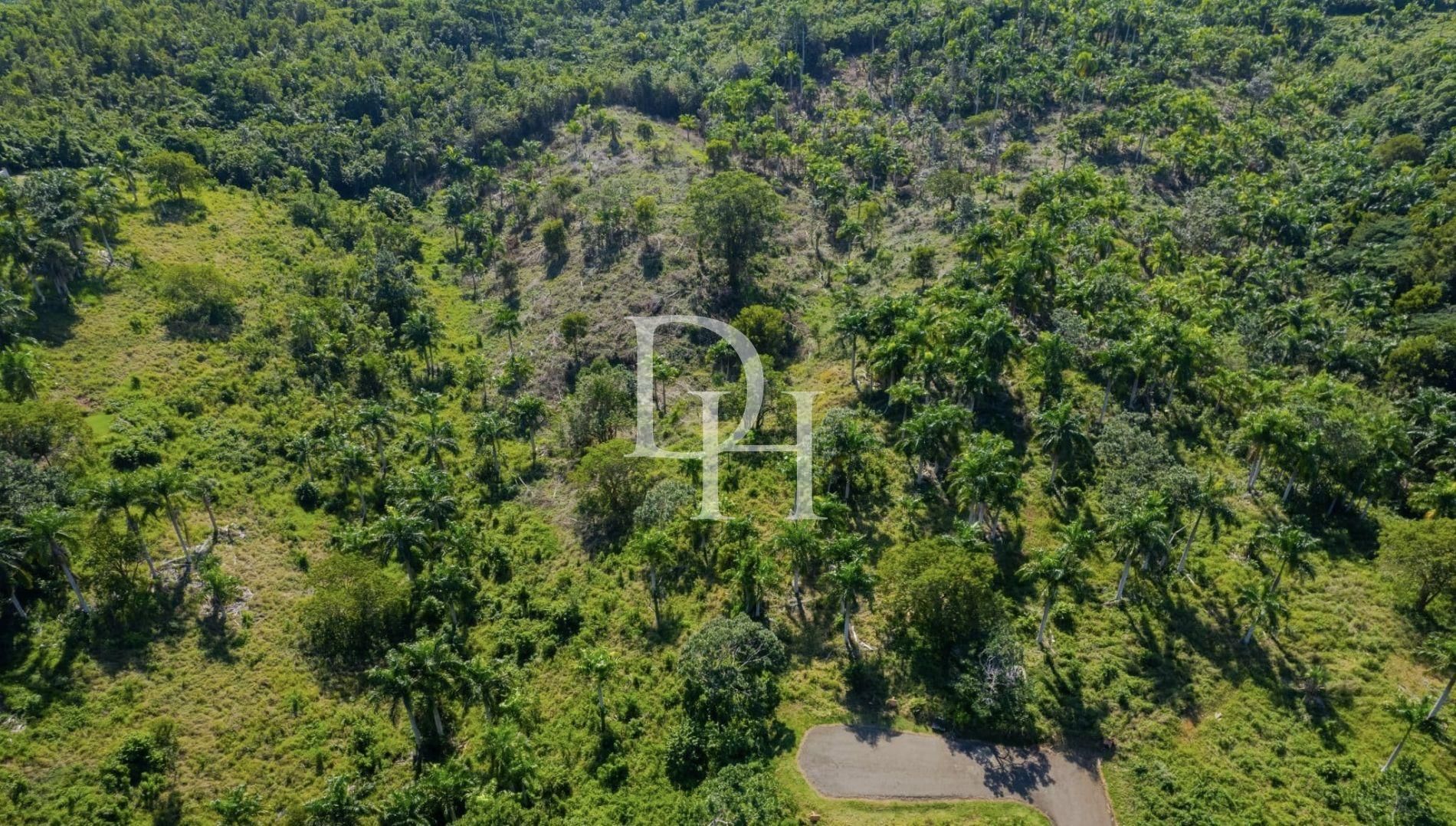 Участок в Сосуа, Доминиканская республика, 5 500м2 - стоимость 200&nbsp;000$ - Ref: 79828 фото 2