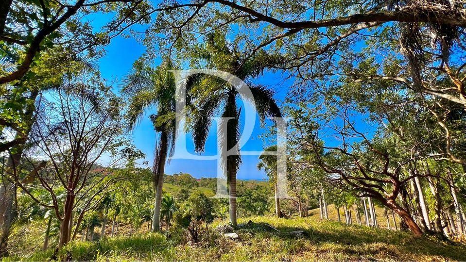 Участок в Сосуа, Доминиканская республика, 5 500м2 - стоимость 200&nbsp;000$ - Ref: 79828 фото 3