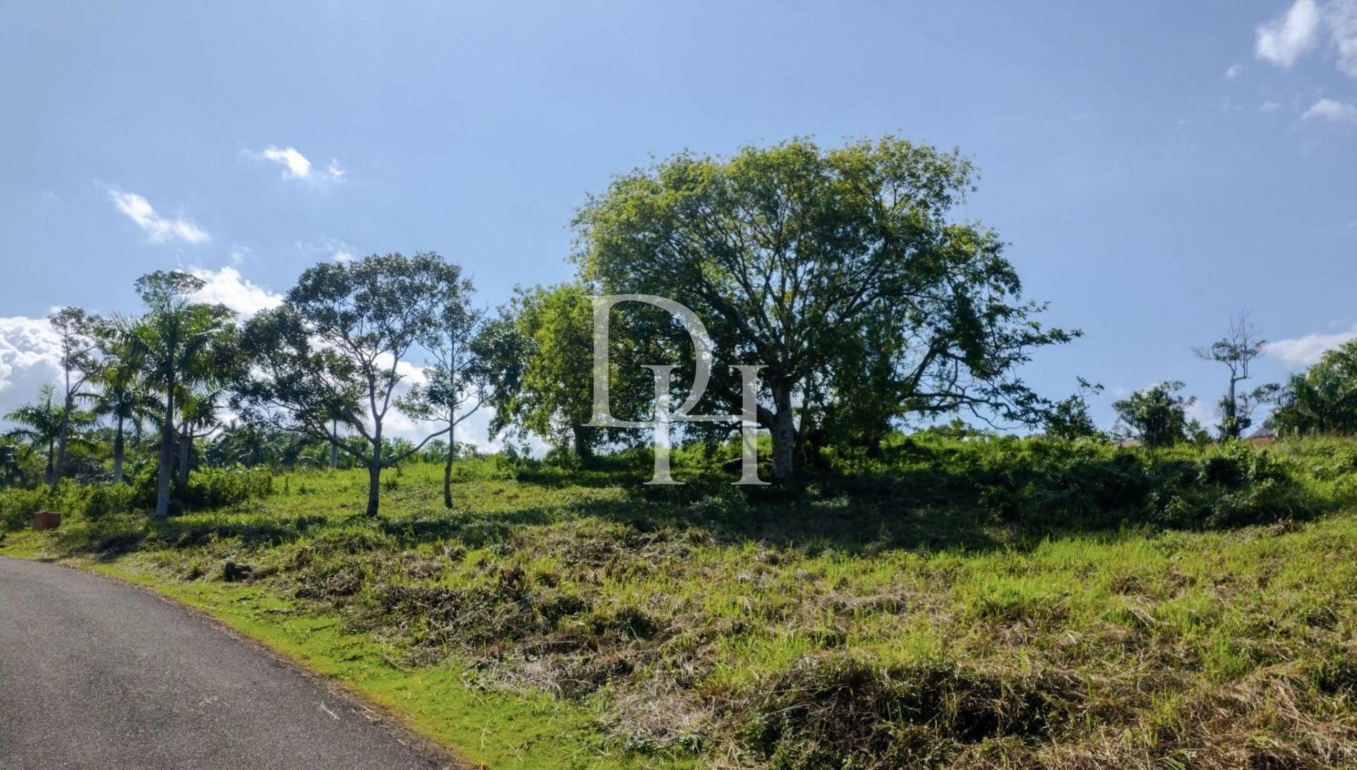 Участок в Сосуа, Доминиканская республика, 5 500м2 - стоимость 200&nbsp;000$ - Ref: 79828 фото 5