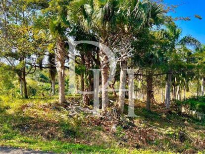 Участок в Сосуа, Доминиканская республика, 5 500м2 - стоимость 200&nbsp;000$ - Ref: 79828 фото 10