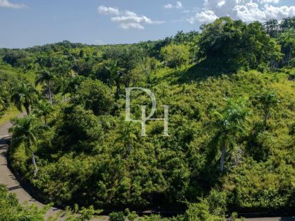 Участок в Сосуа, Доминиканская республика, 5 500м2 - стоимость 200&nbsp;000$ - Ref: 79828 фото 14