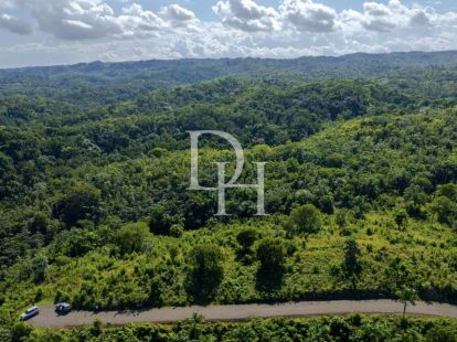 Участок в Сосуа, Доминиканская республика, 5 500м2 - стоимость 200&nbsp;000$ - Ref: 79828 фото 20