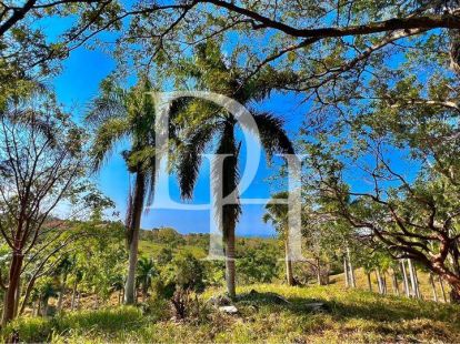 Участок в Сосуа, Доминиканская республика, 5 500м2 - стоимость 200&nbsp;000$ - Ref: 79828 фото 3