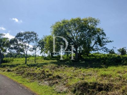 Участок в Сосуа, Доминиканская республика, 5 500м2 - стоимость 200&nbsp;000$ - Ref: 79828 фото 5