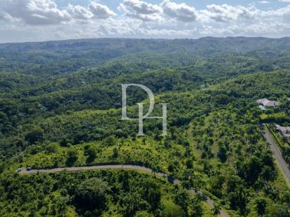 Участок в Сосуа, Доминиканская республика, 5 500м2 - стоимость 200&nbsp;000$ - Ref: 79828 фото 6