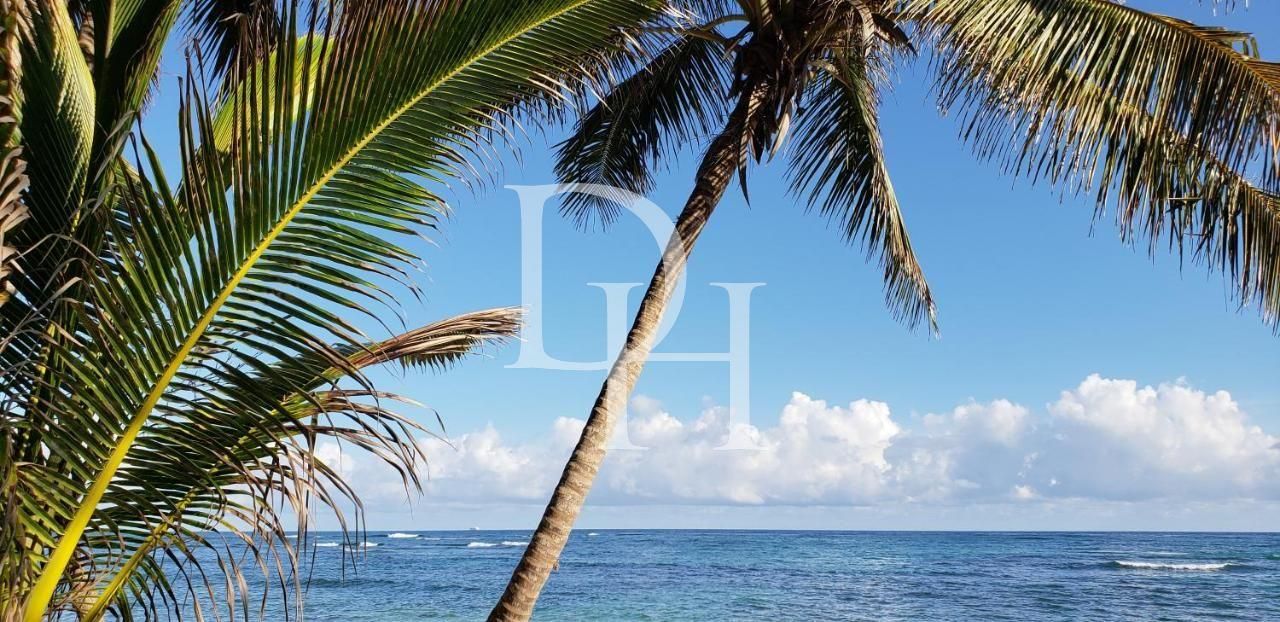 Участок в Пуэрто-Плата, Доминиканская республика, 21 227м2 - стоимость 5&nbsp;625&nbsp;000$ - Ref: 79847 фото 1