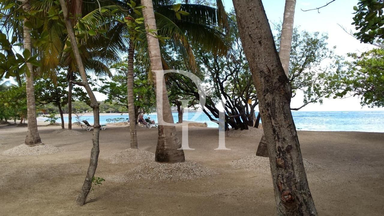 Участок в Пуэрто-Плата, Доминиканская республика, 21 227м2 - стоимость 5&nbsp;625&nbsp;000$ - Ref: 79847 фото 3