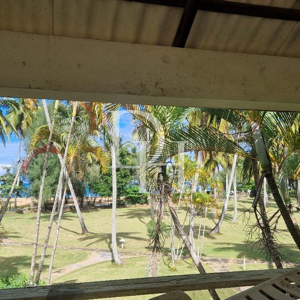 Отель в Лас Терренас, Доминиканская республика, 6 400м2 - стоимость 14&nbsp;500&nbsp;000$ - Ref: 79881 фото 4