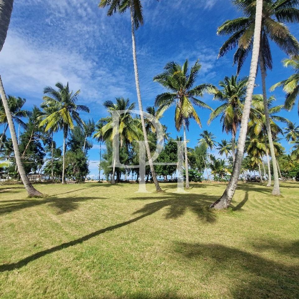 Отель в Лас Терренас, Доминиканская республика, 6 400м2 - стоимость 14&nbsp;500&nbsp;000$ - Ref: 79881 фото 8