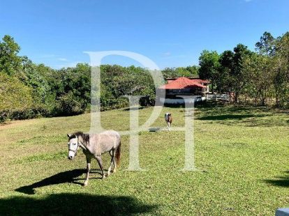 Бизнес в Харабакоа, Доминиканская республика (ID:79897)