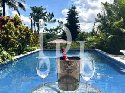 Бизнес в Харабакоа, Доминиканская республика - Ref: 79897 фото 2