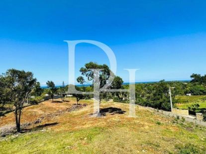 Участок в Сосуа, Доминиканская республика, 4 031м2 - стоимость 237&nbsp;500$ - Ref: 79908 фото 1