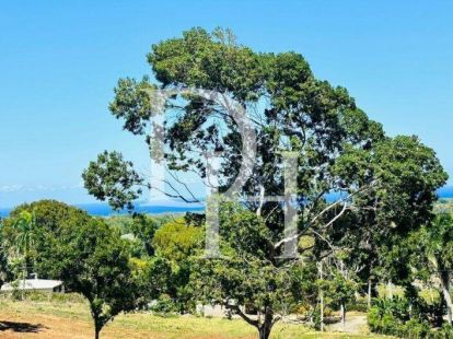 Участок в Сосуа, Доминиканская республика, 4 031м2 - стоимость 237&nbsp;500$ - Ref: 79908 фото 3