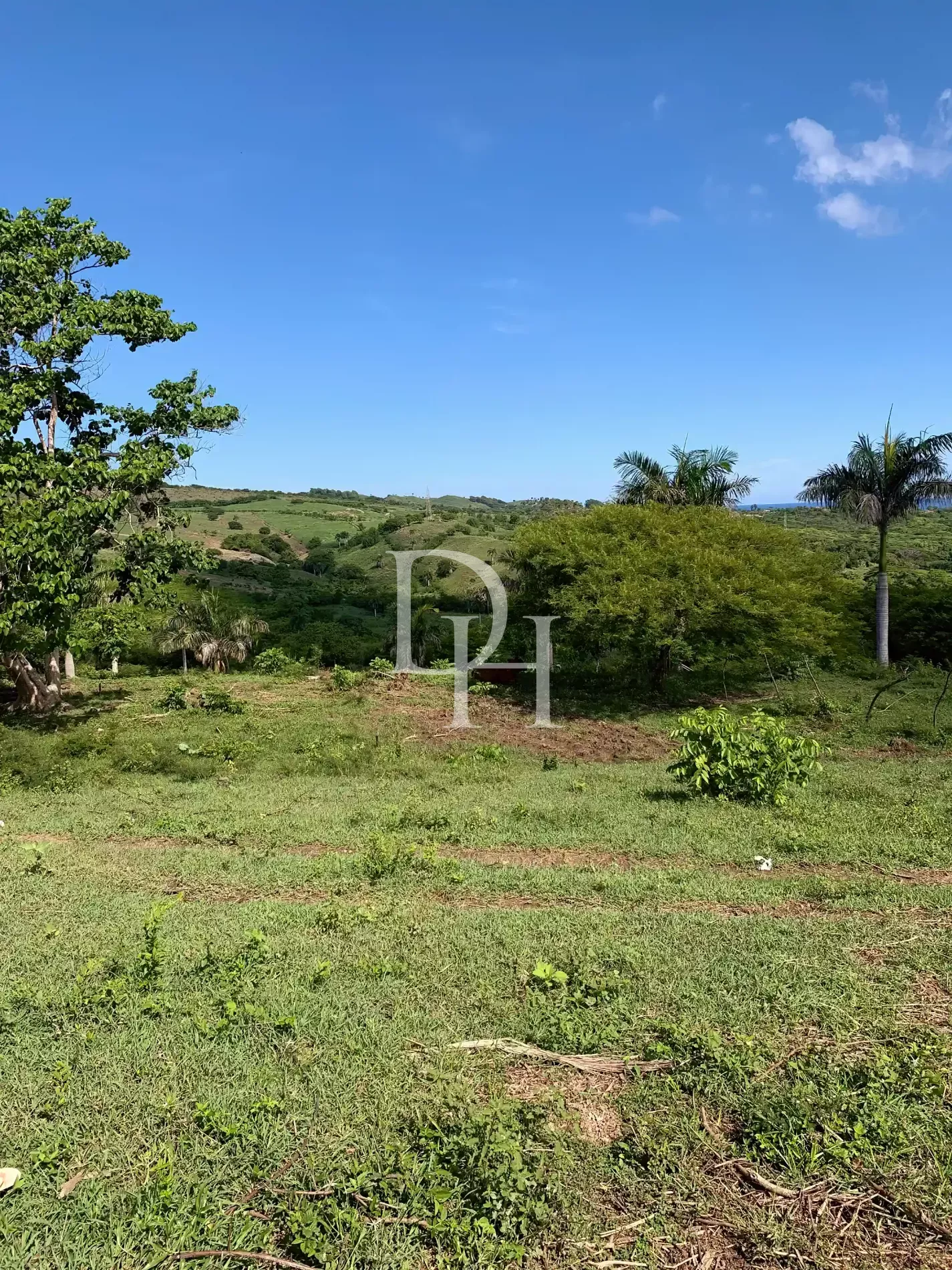 Участок в Пуэрто-Плата, Доминиканская республика, 190 209м2 - стоимость 1&nbsp;300&nbsp;000$ - Ref: 79943 фото 3