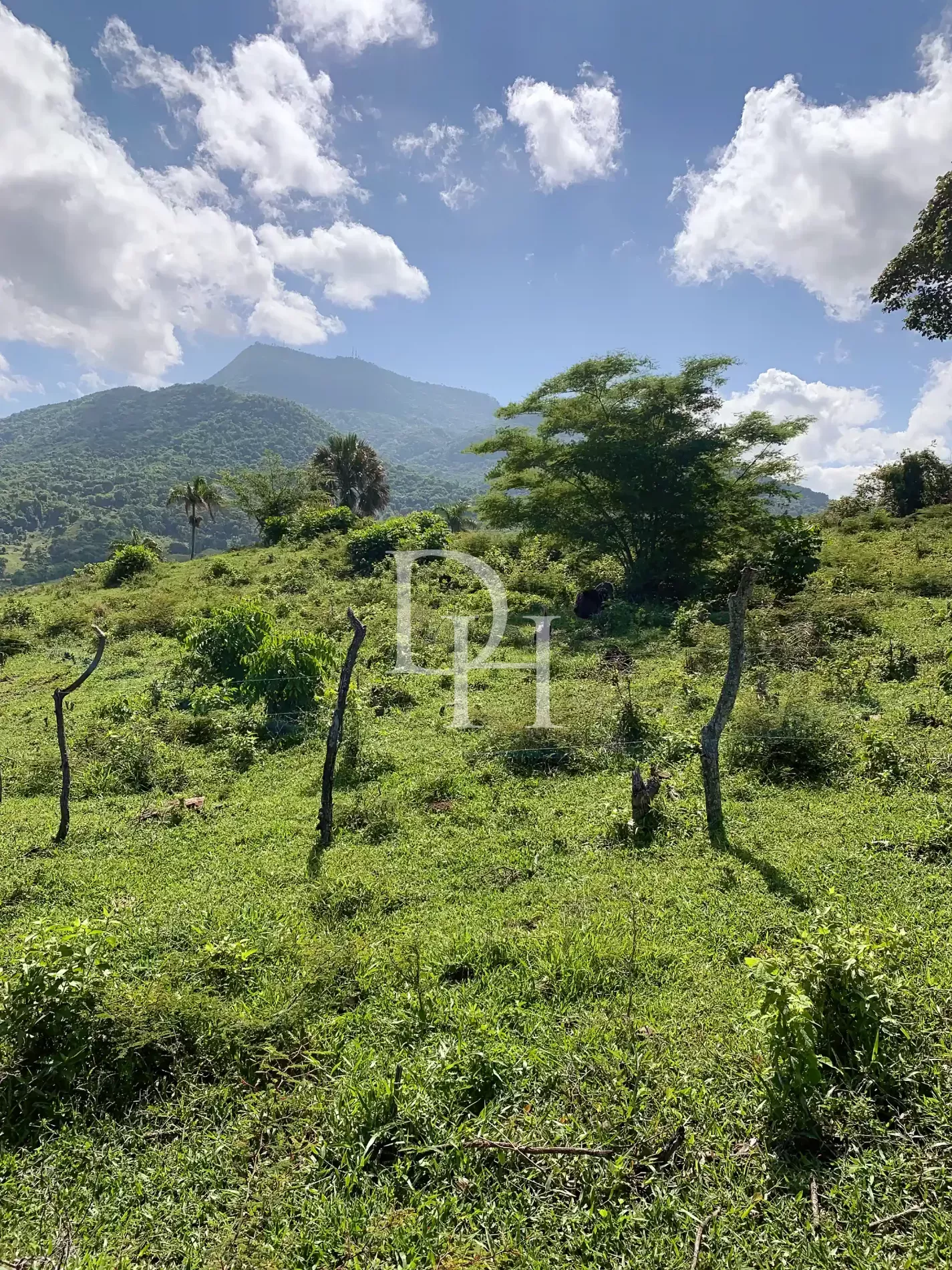 Участок в Пуэрто-Плата, Доминиканская республика, 190 209м2 - стоимость 1&nbsp;300&nbsp;000$ - Ref: 79943 фото 4