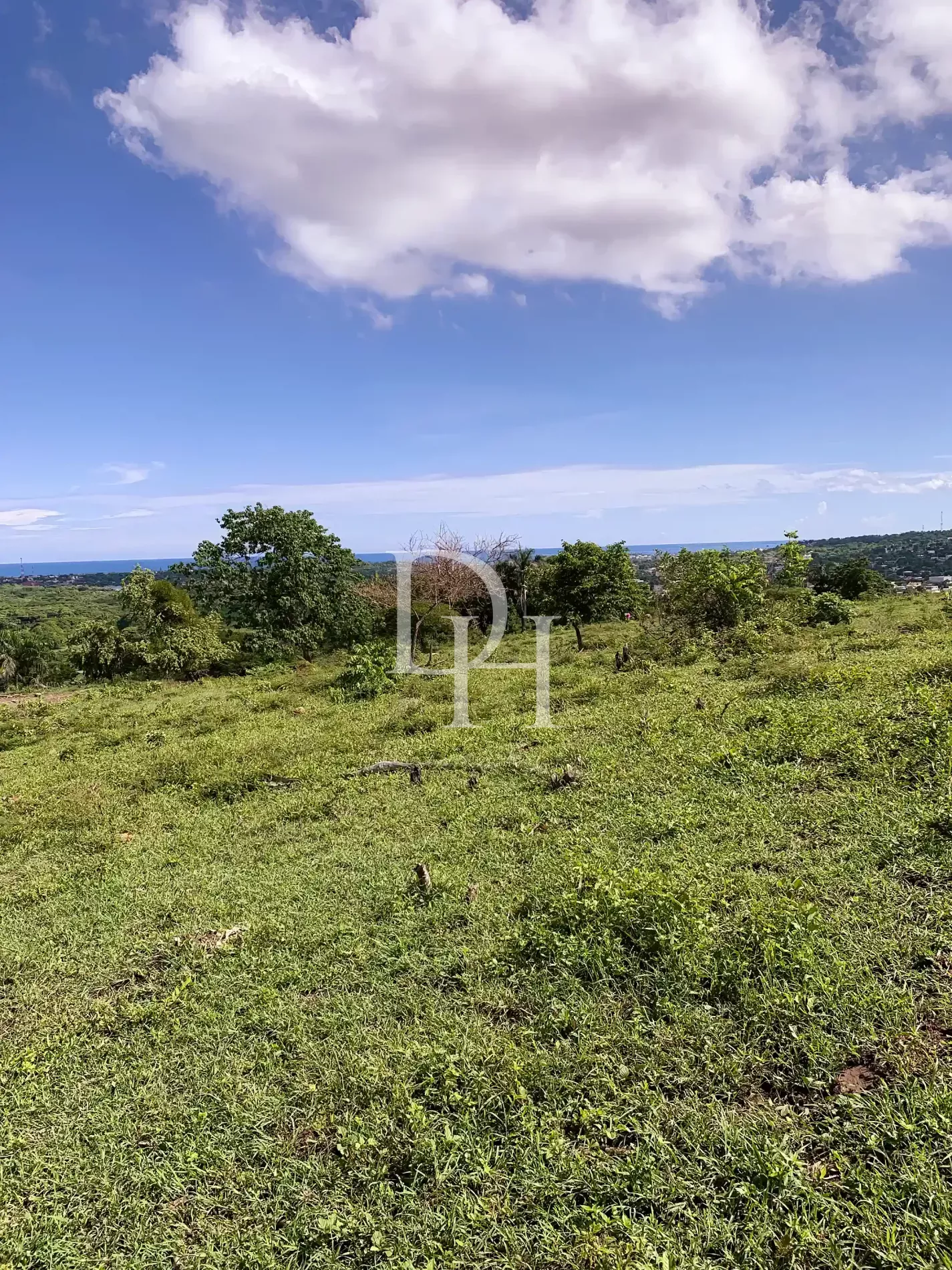 Участок в Пуэрто-Плата, Доминиканская республика, 190 209м2 - стоимость 1&nbsp;300&nbsp;000$ - Ref: 79943 фото 5