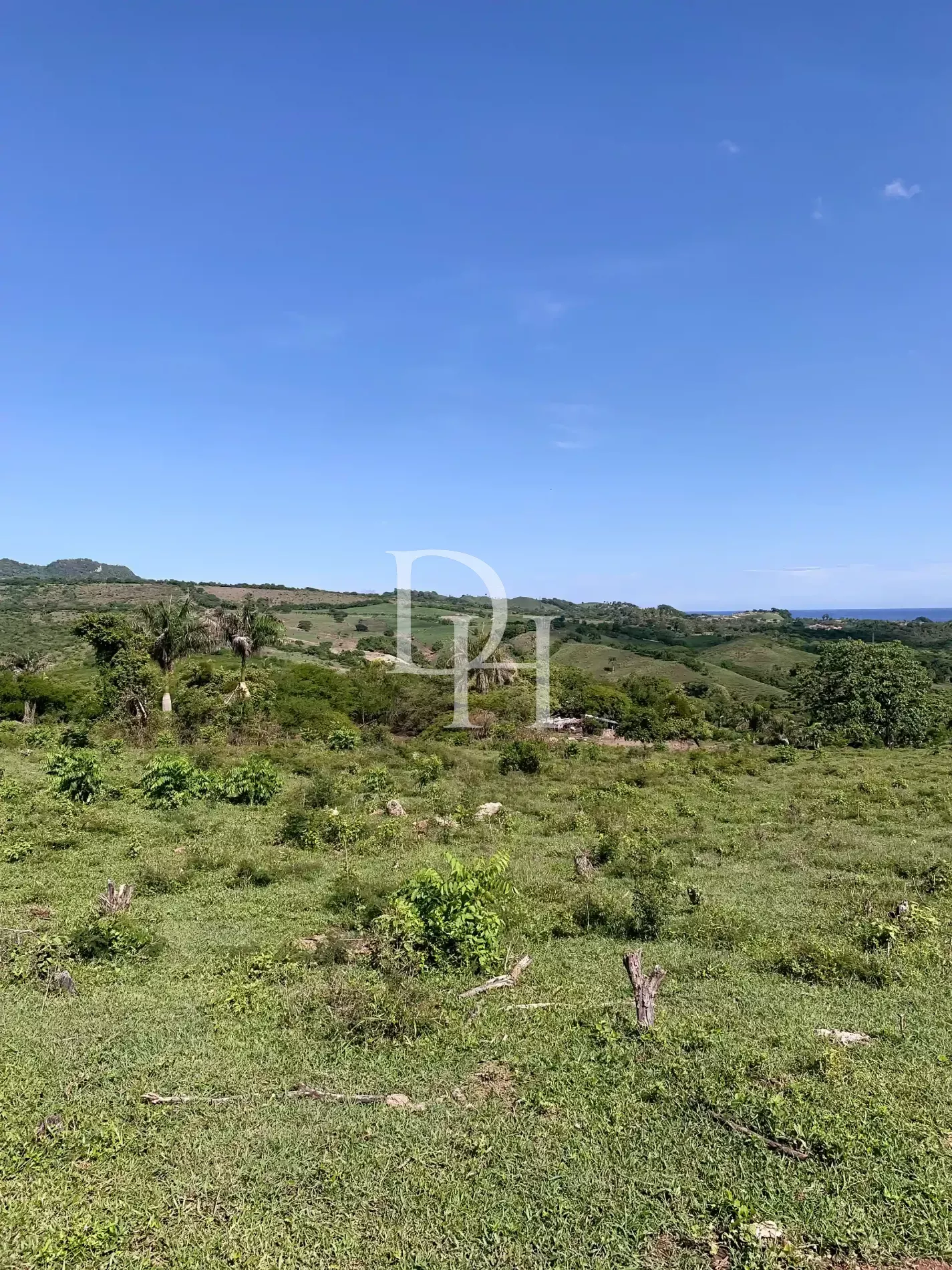 Участок в Пуэрто-Плата, Доминиканская республика, 190 209м2 - стоимость 1&nbsp;300&nbsp;000$ - Ref: 79943 фото 6