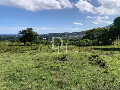 Участок в Пуэрто-Плата, Доминиканская республика, 190 209м2 - стоимость 1&nbsp;300&nbsp;000$ - Ref: 79943 фото 2