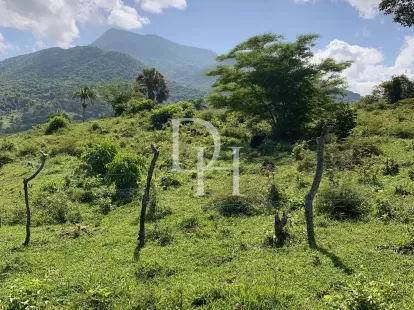 Участок в Пуэрто-Плата, Доминиканская республика, 190 209м2 - стоимость 1&nbsp;300&nbsp;000$ - Ref: 79943 фото 4