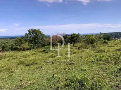 Участок в Пуэрто-Плата, Доминиканская республика, 190 209м2 - стоимость 1&nbsp;300&nbsp;000$ - Ref: 79943 фото 5