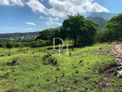 Участок в Пуэрто-Плата, Доминиканская республика, 190 209м2 - стоимость 1&nbsp;300&nbsp;000$ - Ref: 79943 фото 7