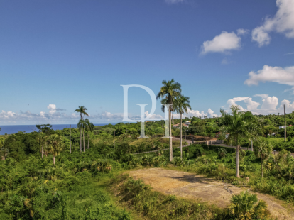 Участок в Кабрера, Доминиканская республика, 1 500м2 - стоимость 145&nbsp;000$ - Ref: 79948 фото 1