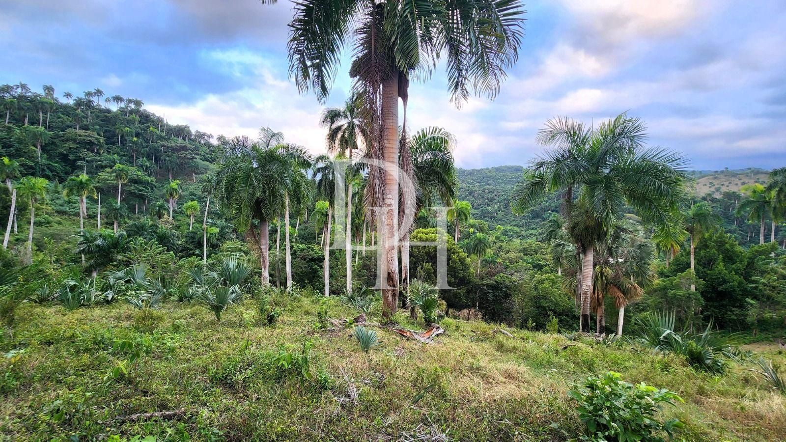 Участок в Сосуа, Доминиканская республика, 31 800м2 - стоимость 636&nbsp;000$ - Ref: 79958 фото 1