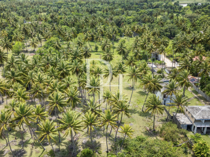 Участок в Кабарете, Доминиканская республика, 12 590м2 - стоимость 1&nbsp;573&nbsp;000$ - Ref: 79962 фото 5