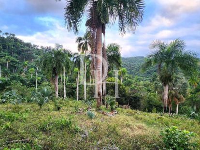 Участок в Сосуа, Доминиканская республика, 31 800м2 - стоимость 636&nbsp;000$ - Ref: 79958 фото 1