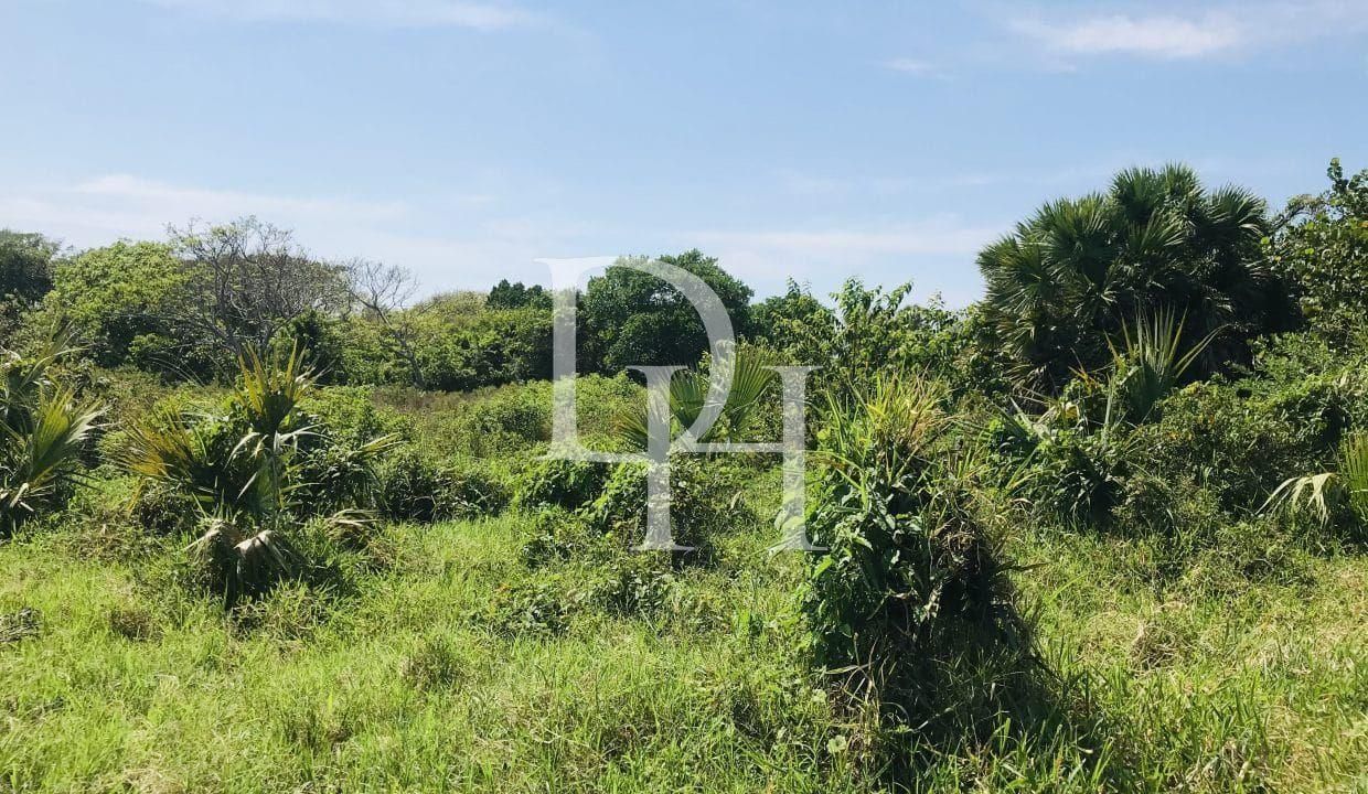 Участок в Кабарете, Доминиканская республика, 1 000м2 - стоимость 127&nbsp;000$ - Ref: 80008 фото 2