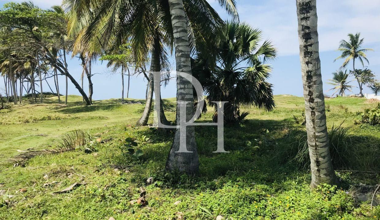 Участок в Кабарете, Доминиканская республика, 1 000м2 - стоимость 127&nbsp;000$ - Ref: 80008 фото 3