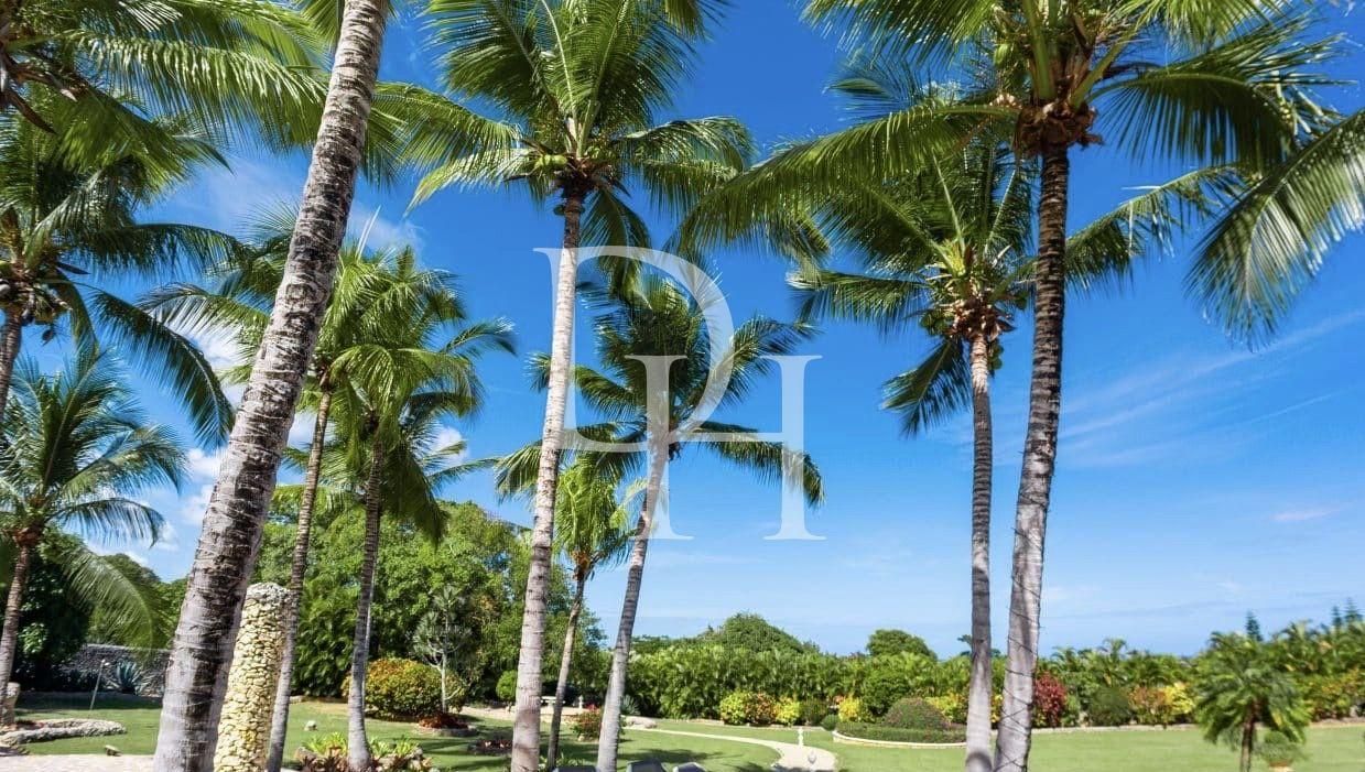 Вилла в Сосуа, Доминиканская республика, 1 000м2 - стоимость 1&nbsp;500&nbsp;000$ - Ref: 80021 фото 23