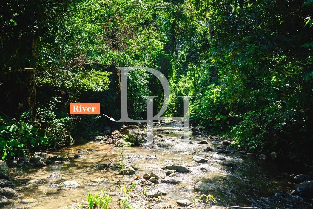 Участок в Кабарете, Доминиканская республика, 878 645м2 - стоимость 1&nbsp;000&nbsp;000$ - Ref: 80030 фото 4