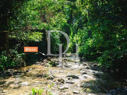 Участок в Кабарете, Доминиканская республика, 878 645м2 - стоимость 1&nbsp;000&nbsp;000$ - Ref: 80030 фото 4