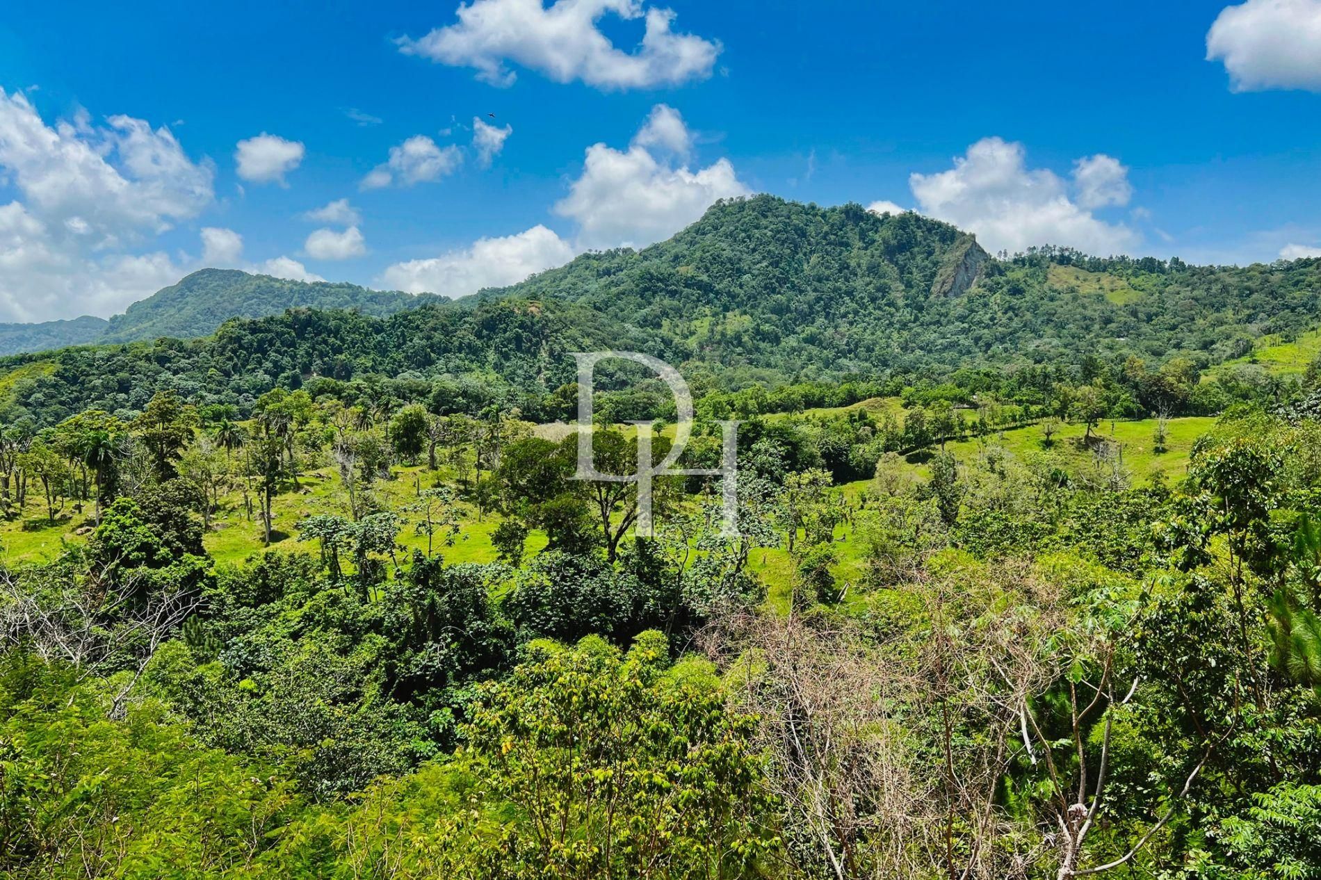 Участок в Пуэрто-Плата, Доминиканская республика - стоимость 105&nbsp;000$ - Ref: 80041 фото 24