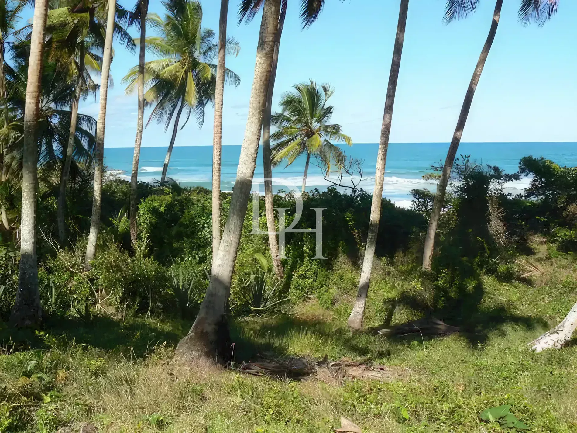 Участок в Кабарете, Доминиканская республика, 5 700м2 - стоимость 385&nbsp;000$ - Ref: 80053 фото 3