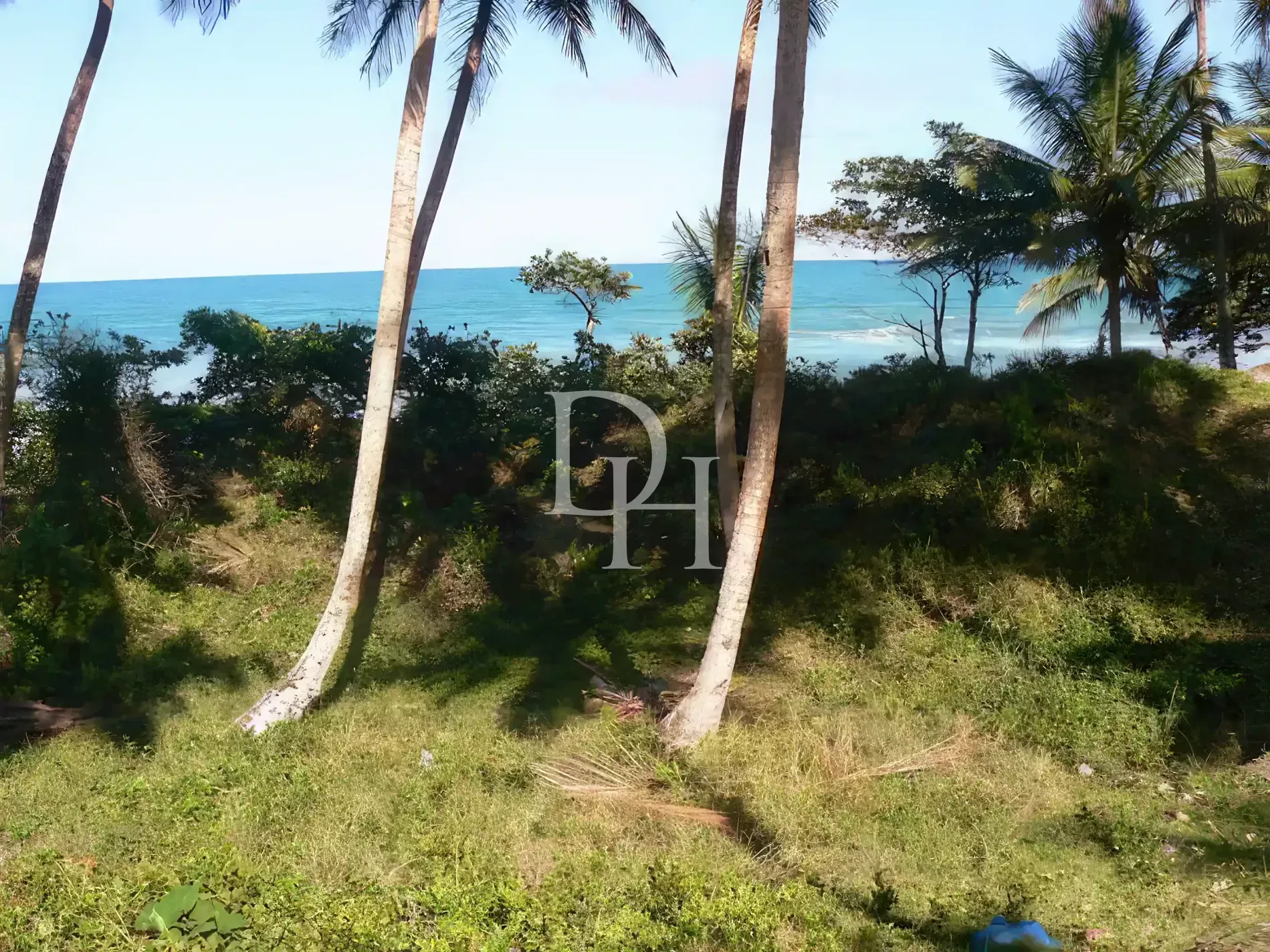 Участок в Кабарете, Доминиканская республика, 5 700м2 - стоимость 385&nbsp;000$ - Ref: 80053 фото 5