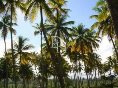 Участок в Кабарете, Доминиканская республика, 5 700м2 - стоимость 385&nbsp;000$ - Ref: 80053 фото 6