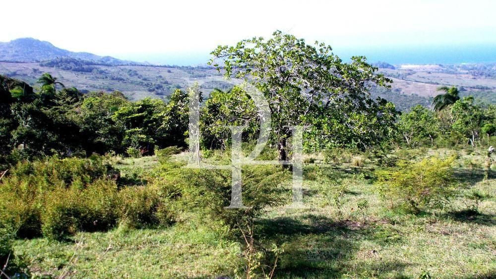 Land in Puerto Plata, Dominican Republic, 850m2 - for 55&nbsp;000$ - Ref: 80114 photo 3
