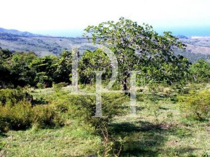 Land in Puerto Plata, Dominican Republic, 850m2 - for 55&nbsp;000$ - Ref: 80114 photo 3