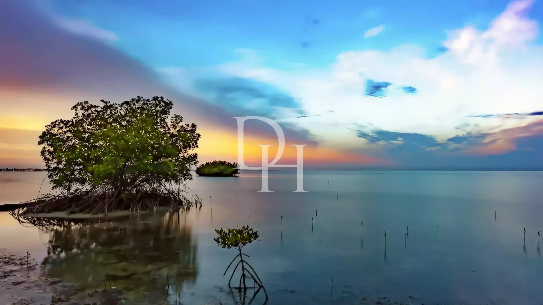 Отель в Пуэрто-Плата, Доминиканская республика, 800м2 - стоимость 450&nbsp;000$ - Ref: 80146 фото 4