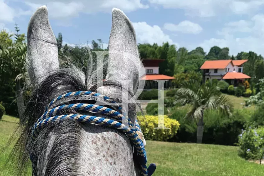 Участок в Харабакоа, Доминиканская республика, 1 200м2 - Ref: 80174 фото 5