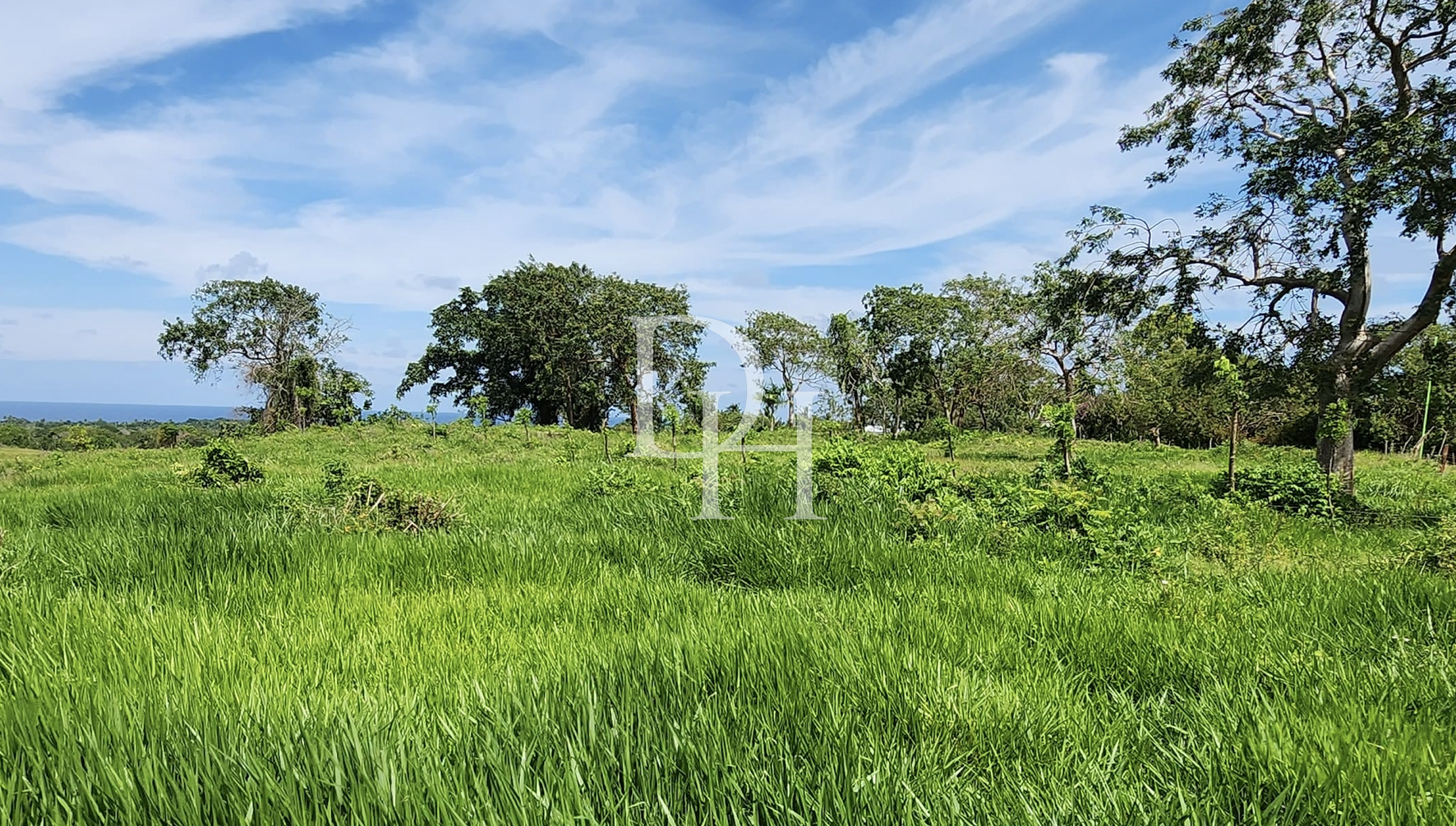 Участок в Кабарете, Доминиканская республика, 5 683м2 - стоимость 483&nbsp;000$ - Ref: 80214 фото 3